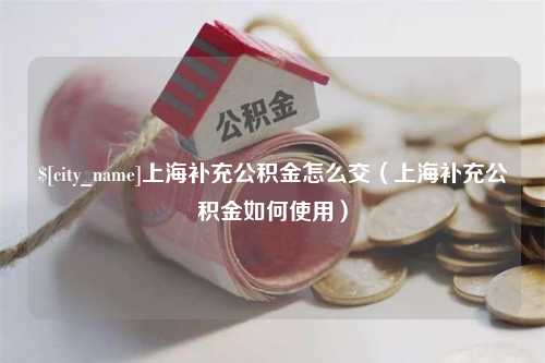 双峰上海补充公积金怎么交（上海补充公积金如何使用）